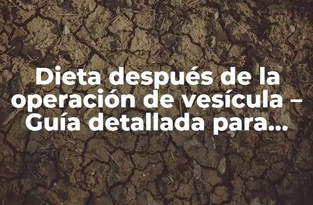 Dieta Después de la Operación de Vesícula – Guía Detallada para una Recuperación Exitosa