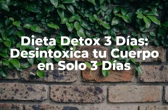 Dieta Detox 3 Días: Desintoxica Tu Cuerpo en Solo 3 Días