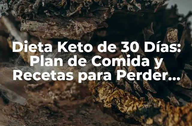 Dieta Keto de 30 Días: Plan de Comida y Recetas para Perder Peso Rápidamente