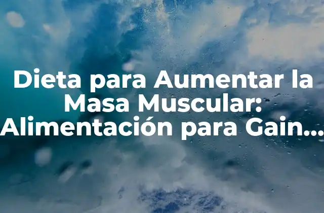 Dieta para Aumentar la Masa Muscular: Alimentación para Gain Muscular 2 ¿Cuáles son los Macronutrientes Esenciales para la Ganancia de Masa Muscular?