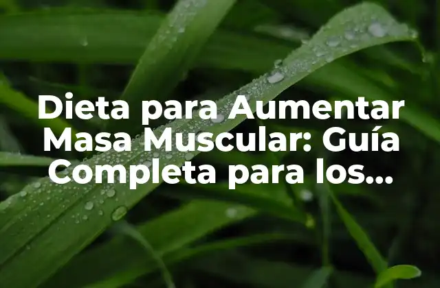 Dieta para Aumentar Masa Muscular: Guía Completa para los Delgados