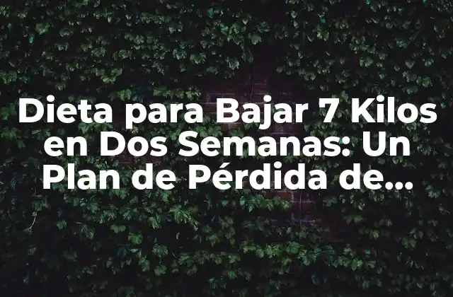 Dieta para Bajar 7 Kilos en Dos Semanas: un Plan de Pérdida de Peso Rápido y Saludable