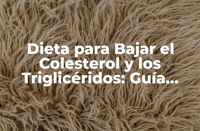 Dieta para Bajar el Colesterol y los Triglicéridos: Guía Completa 2 ¿Por qué es Importante Bajar el Colesterol y los Triglicéridos?