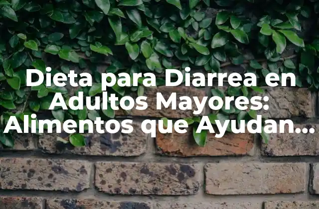 Dieta para Diarrea en Adultos Mayores: Alimentos que Ayudan y que Evitar