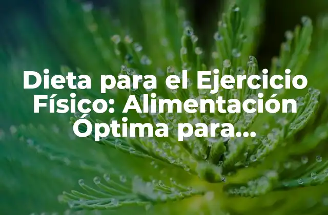 Dieta para el Ejercicio Físico: Alimentación Óptima para Deportistas