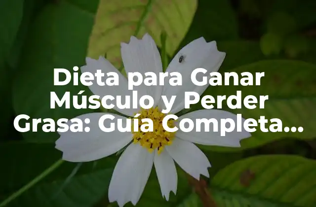 Dieta para Ganar Músculo y Perder Grasa: Guía Completa para Lograr Tus Objetivos
