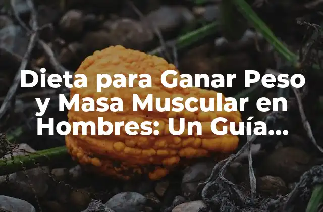 Dieta para Ganar Peso y Masa Muscular en Hombres: un Guía Completa