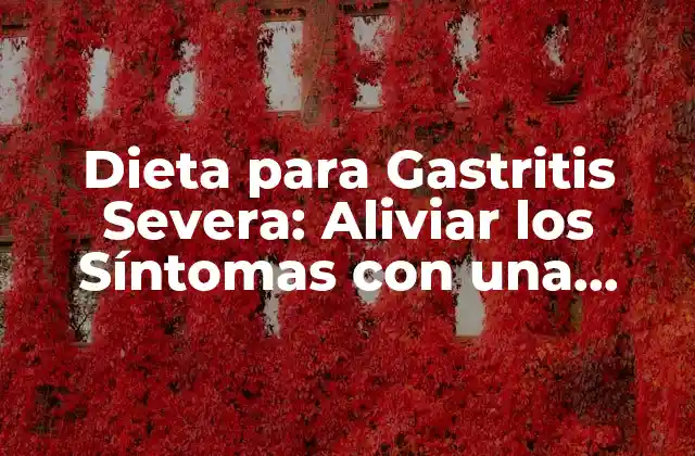 ¿Cuáles son los Alimentos que Debo Evitar con Gastritis Severa?