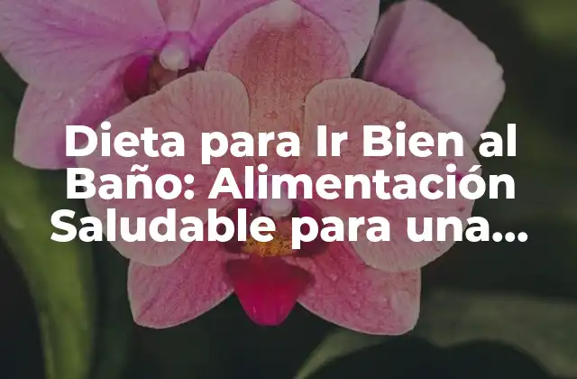 Dieta para Ir Bien Al Baño: Alimentación Saludable para una Digestión Óptima