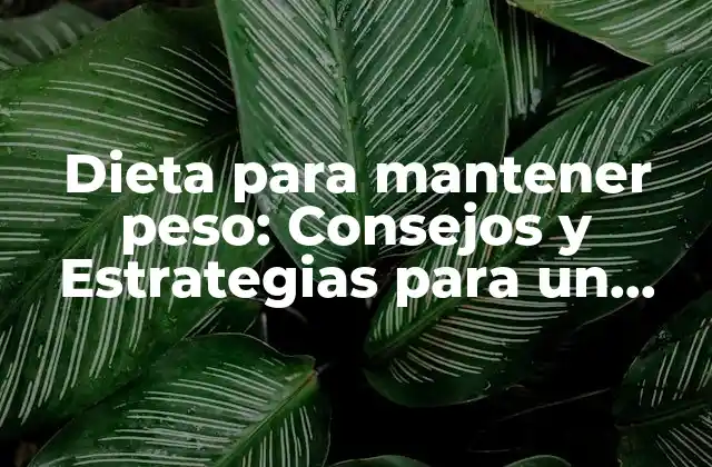 Dieta para Mantener Peso: Consejos y Estrategias para un Peso Saludable