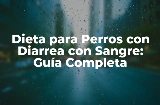 ¿Qué Causa la Diarrea con Sangre en Perros?