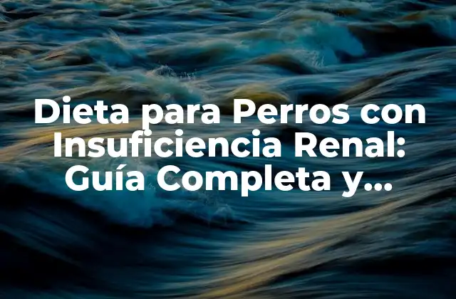 Dieta para Perros con Insuficiencia Renal: Guía Completa y Actualizada
