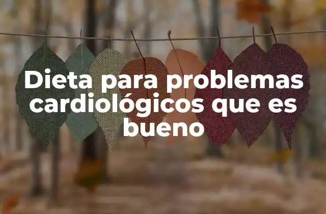 Dieta para Problemas Cardiológicos que es Bueno
