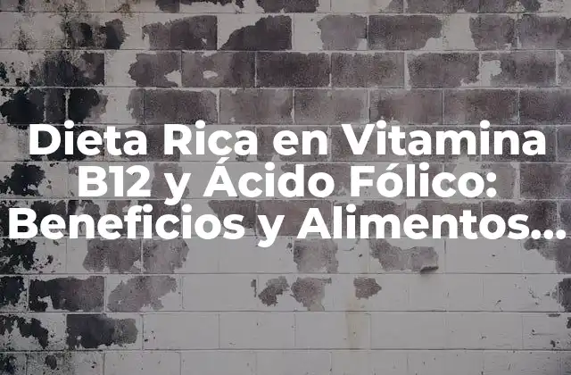 Dieta Rica en Vitamina B12 y Ácido Fólico: Beneficios y Alimentos que Debes Conocer