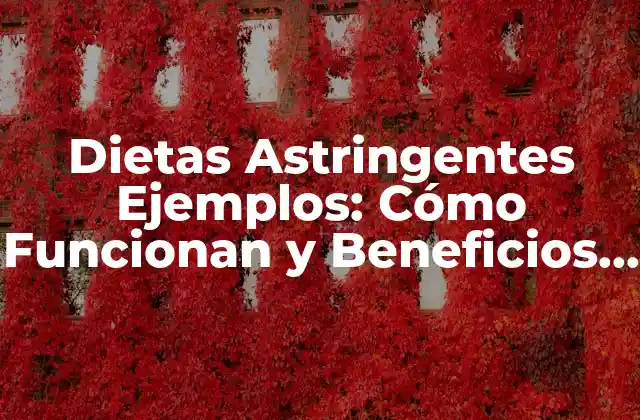 ¿Qué son las Dietas Astringentes?