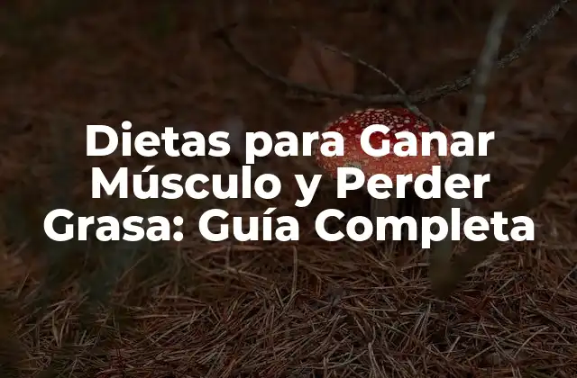 Dietas para Ganar Músculo y Perder Grasa: Guía Completa