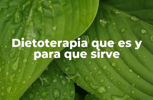 Dietoterapia que es y para que Sirve