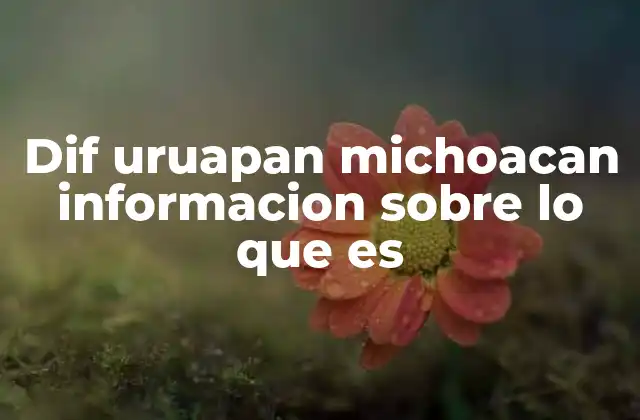 Dif Uruapan Michoacan Informacion sobre Lo que es