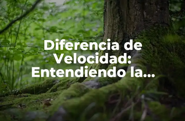 Diferencia de Velocidad: Entendiendo la Importancia de la Velocidad en la Física