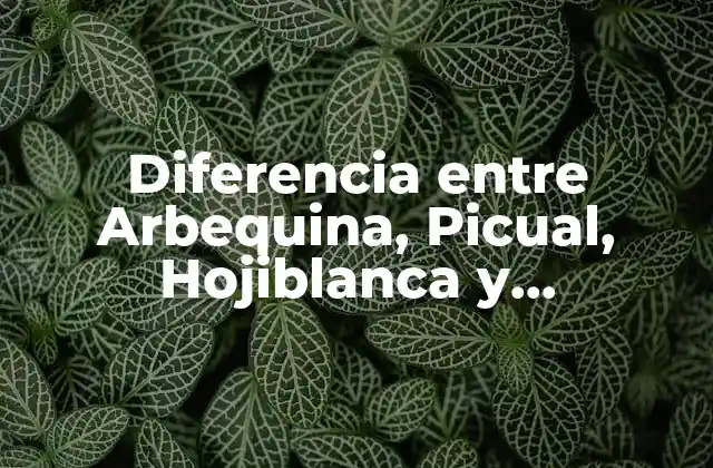 Diferencia entre Arbequina, Picual, Hojiblanca y Cornicabra: Guía Completa