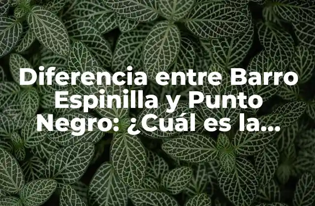 Diferencia entre Barro Espinilla y Punto Negro: ¿cuál es la Distinción?