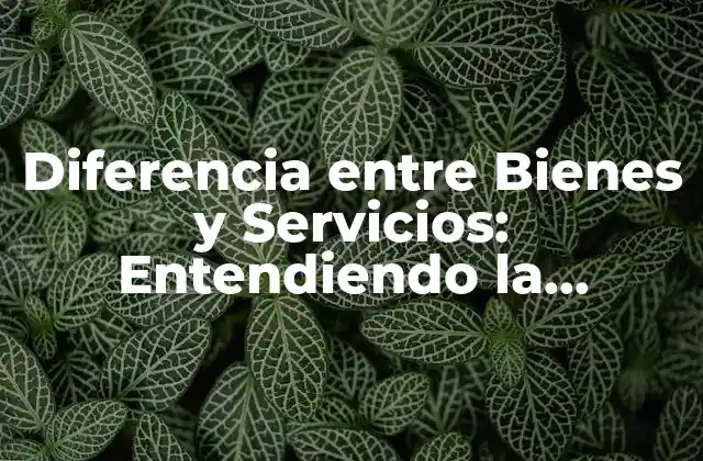 Diferencia entre Bienes y Servicios: Entendiendo la Distinción