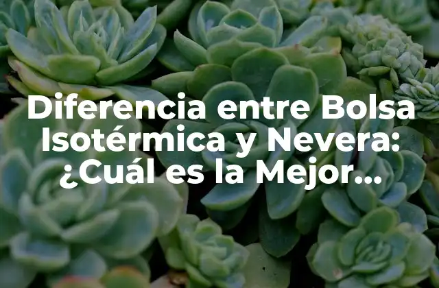 Diferencia entre Bolsa Isotérmica y Nevera: ¿cuál es la Mejor Opción?