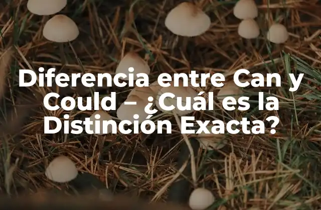 Definición y Uso de Can