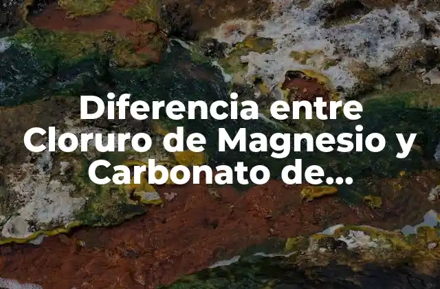 Diferencia entre Cloruro de Magnesio y Carbonato de Magnesio: ¿cuál es la Mejor Opción?