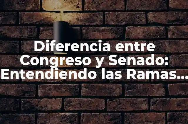 Diferencia entre Congreso y Senado: Entendiendo las Ramas Del Gobierno