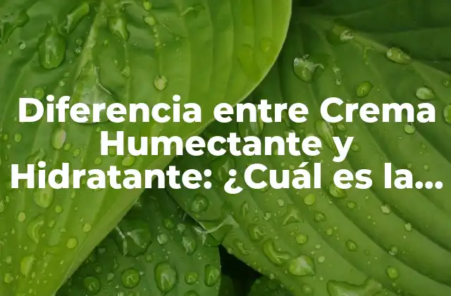 Diferencia entre Crema Humectante y Hidratante: ¿cuál es la Mejor Opción para Tu Piel?