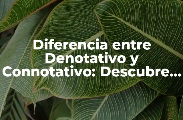 Diferencia entre Denotativo y Connotativo: Descubre el Significado y el Poder de las Palabras