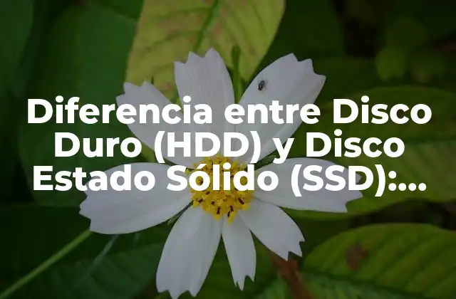 Diferencia entre Disco Duro (hdd) y Disco Estado Sólido (ssd): Cual es la Mejor Opción