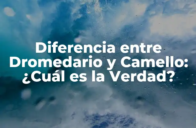 Diferencia entre Dromedario y Camello: ¿cuál es la Verdad? 2 Orígenes y Distribución Geográfica