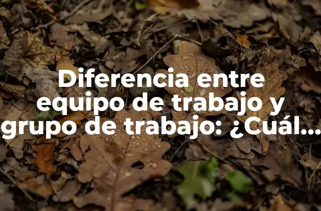 Diferencia entre Equipo de Trabajo y Grupo de Trabajo: ¿cuál es la Diferencia?