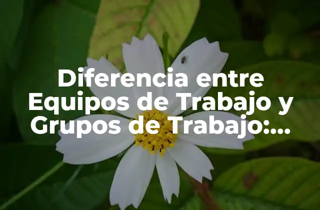 Diferencia entre Equipos de Trabajo y Grupos de Trabajo: Entendiendo las Distintas Dinámicas de Colaboración