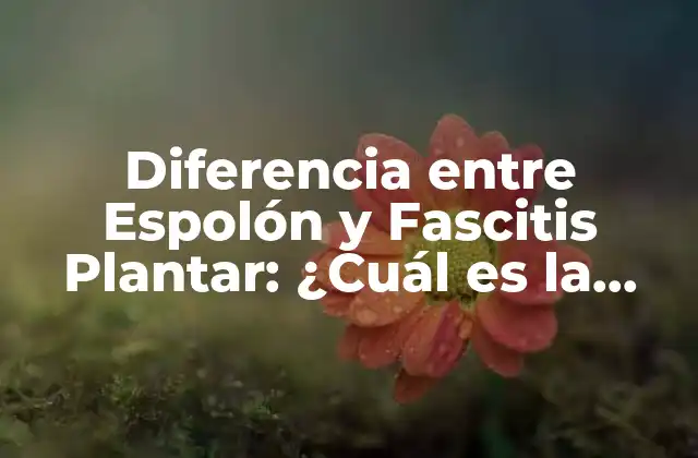 Diferencia entre Espolón y Fascitis Plantar: ¿cuál es la Distinción?