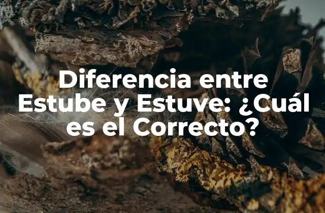 Diferencia entre Estube y Estuve: ¿cuál es el Correcto?