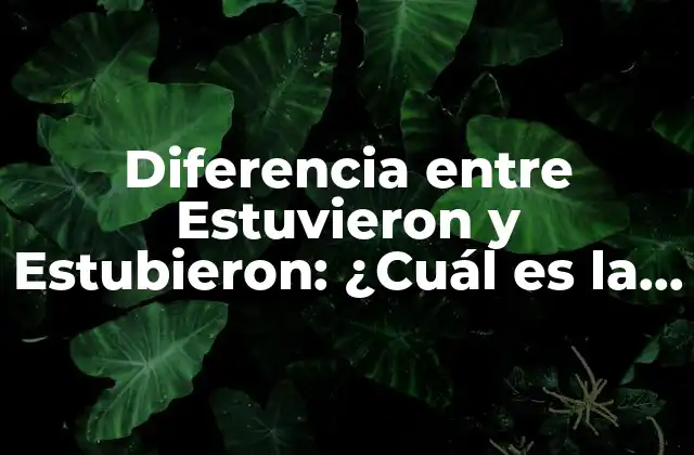 Diferencia entre Estuvieron y Estubieron: ¿cuál es la Forma Correcta?