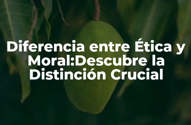 Diferencia entre Ética y Moral:descubre la Distinción Crucial