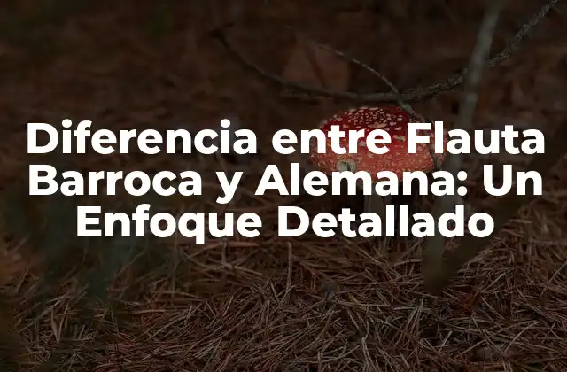Diferencia entre Flauta Barroca y Alemana: un Enfoque Detallado