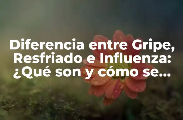 Diferencia entre Gripe, Resfriado e Influenza: ¿qué Son y Cómo Se Diferencian?