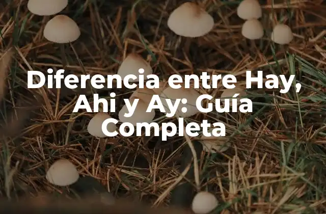 Diferencia entre Hay, Ahi y Ay: Guía Completa