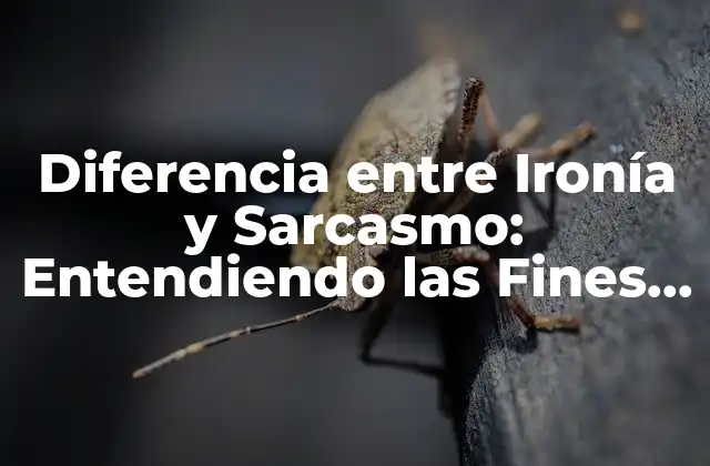 Diferencia entre Ironía y Sarcasmo: Entendiendo las Fines Distinciones