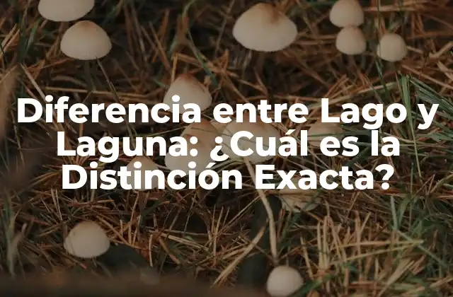 Diferencia entre Lago y Laguna: ¿cuál es la Distinción Exacta?