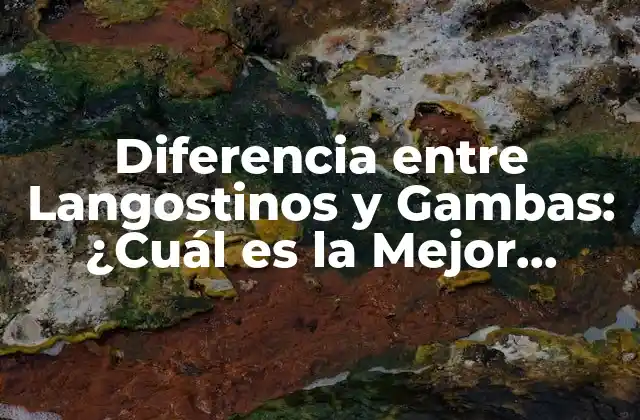 Diferencia entre Langostinos y Gambas: ¿cuál es la Mejor Opción?