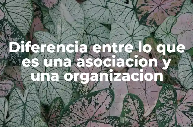 Diferencia entre Lo que es una Asociacion y una Organizacion
