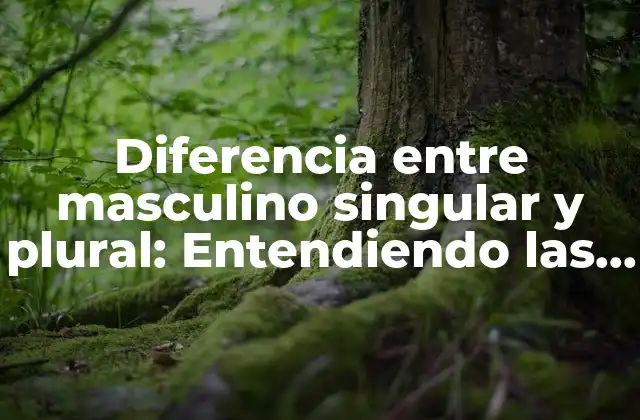 Diferencia entre Masculino Singular y Plural: Entendiendo las Reglas de Género en Español