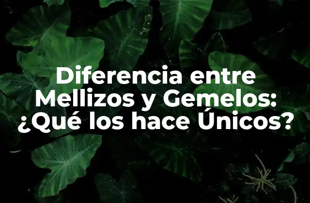 Diferencia entre Mellizos y Gemelos: ¿qué los Hace Únicos?
