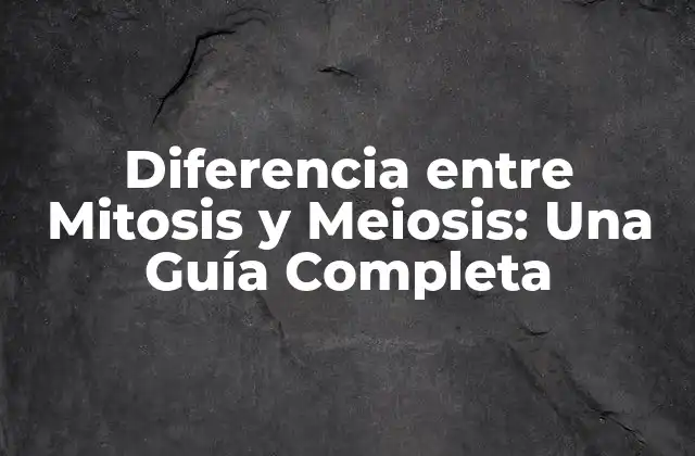 Diferencia entre Mitosis y Meiosis: una Guía Completa